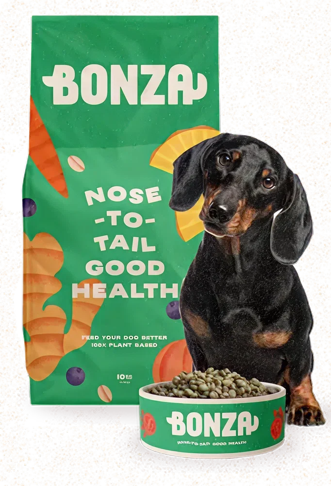 A dachshund sitting beside a bag of Bonza nose-to-tail plant-based dog food and a full bowl