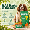 Dry plant-based dog food health benefits