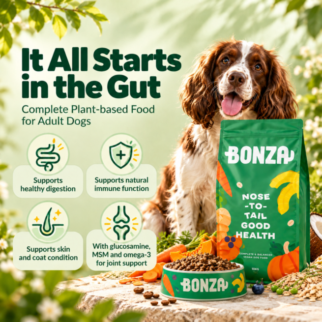 Dry plant-based dog food health benefits