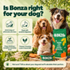 Which dogs Bonza Superfoods and Ancient Grains is for