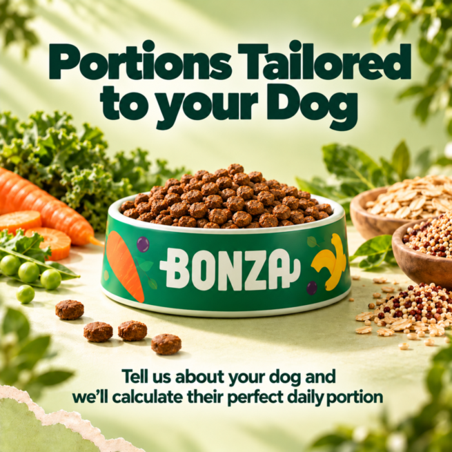 Personalised plant-based dog food subscription from Bonza