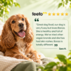 Bonza Superfoods verified customer review