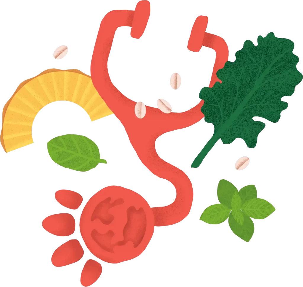 Canine Nutritionists Vets Recommended Bonza Best Super Premium Plant-based Vegan Vegetarian Healthy Dry Dog Food Online Subscription Service Includes Herbs, Botanicals and Adaptogen Supplements for Improved Nutrition and Health Environmentally Sustainable Food for Dogs