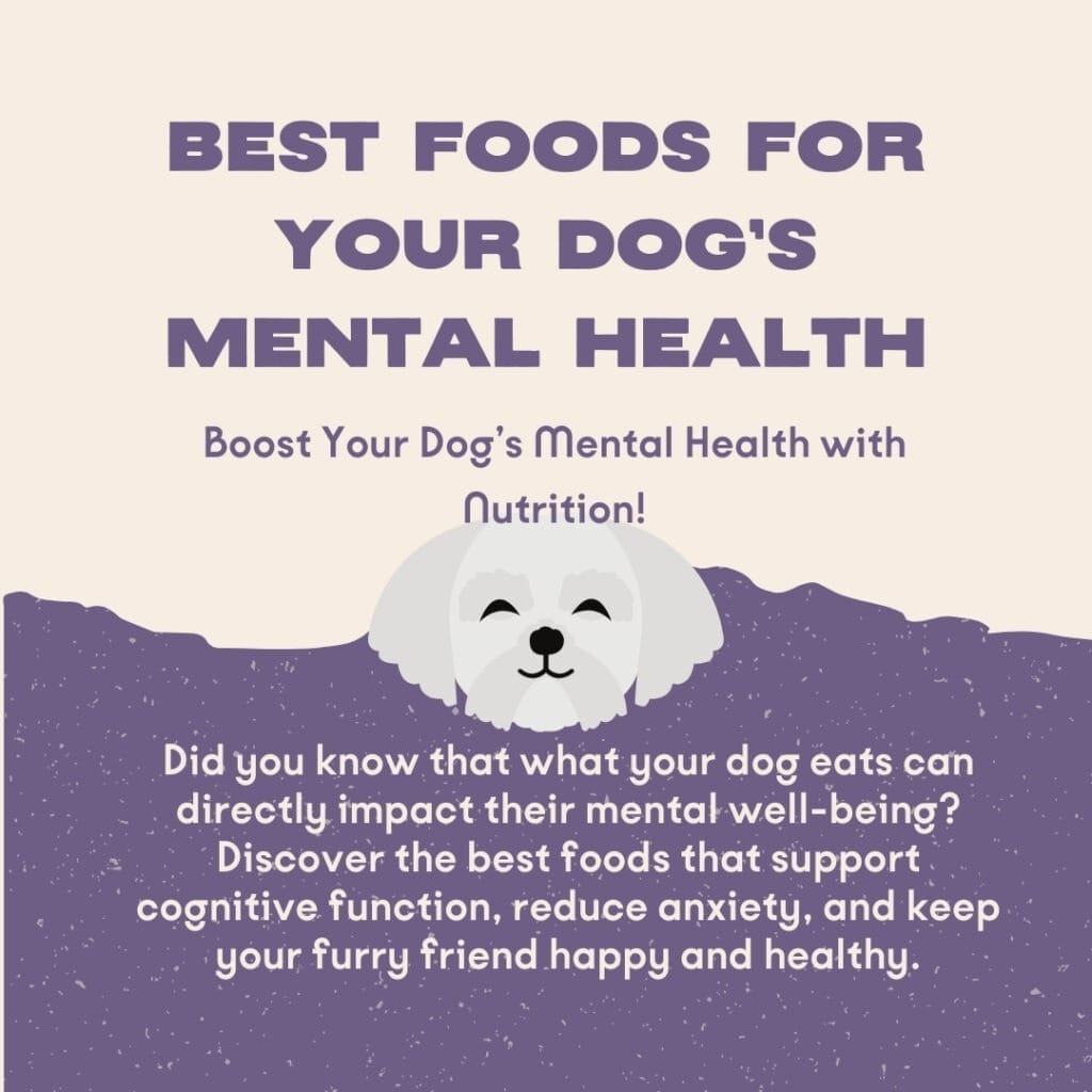 Best Foods for Dogs’ Mental Health: A Deep Dive