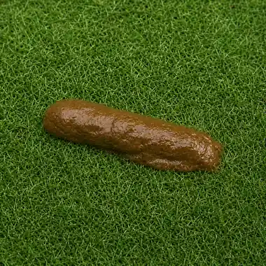 Grade 4: soft, moist log losing form