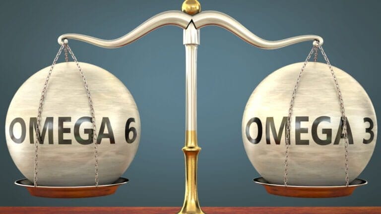omega-6 - omega-3 ratio correct balance important for dogs health