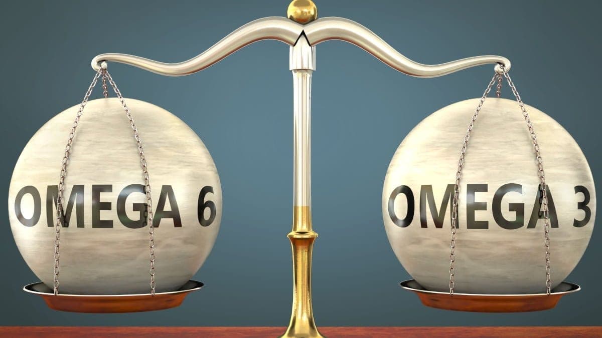 Relación Omega-6 : Omega-3 – La importancia del equilibrio para la salud del perro